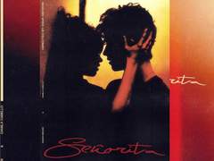 Shawn Mendes & Camila - Señorita (가사/번역/해석)