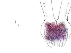 [아키히카] 白夜