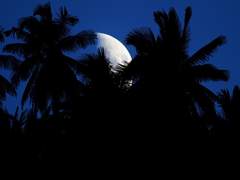 [우장]하중지야