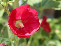 2019.06.04~07 도쿄