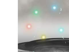 엘레노이 아타락시아