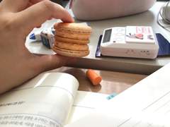 미치광이의 진로탐색