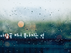 [inSANe] 바람꽃 피어 쏟아지는 별