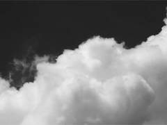 그대에게 안부를 묻습니다.