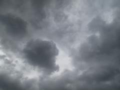 [남욱영진] 감정의 유통기한