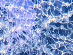 맘이 기운 채로 판단이 설리가