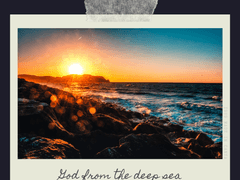 [카나치아] 심해에서 올라온 신님