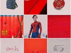 피터 파커 / 스파이더맨 (1)