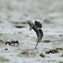 well, I'll be damned.