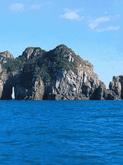 일요일 후의 일요일