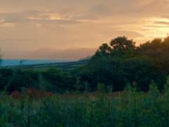 밀러는 잘 아프지 않았다