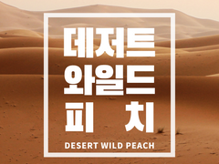 [중혁독자] 데저트 와일드 피치