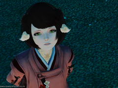 Lv 63. [홍산호 머리장식]