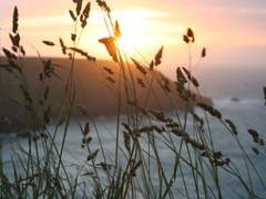 [MCU드림/로키 드림] Home Home with You (8)