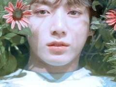 [방탄팬픽/국민/뷔민] 풀꽃수목원 38