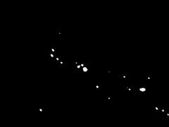 새벽이 되면 함께 잠들어요.