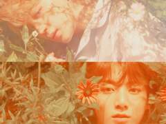 사랑을 하려면 꽃집에서 1