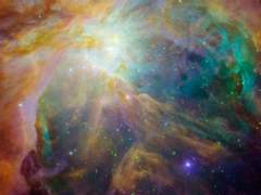 신과 신관과 지휘사 (2)