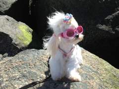 세상에 나쁜 민뭉이는 없다 fin