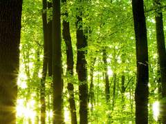 2차 주제 '호흡' 베스트 작품