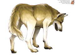 동물관련 프리소재