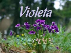 비올레타 Prologue