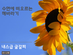 [명우유진] 수면에 떠오르는 해바라기2