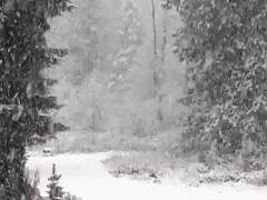 베이비가이드 & 스노우 15