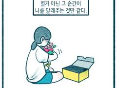 참새씨와 꽃