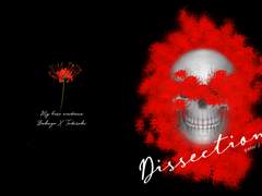 Dissection 유료발행