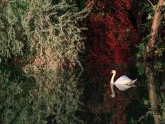 친애하는 나의 데브,