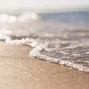 연극 비평가 글/그림 통합 합작