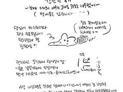 나삽판매전 후기