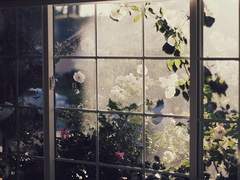 [서현최윤/화평최윤] 호접지몽 - 10