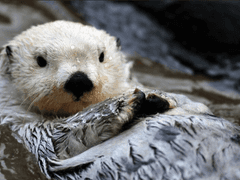 [현제유진] 가이드