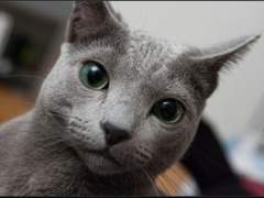 수인 프로필 사진