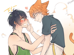 [카케타이] 냥줍