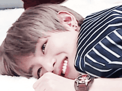 우리 집 고양이가 자기가 호랑인 줄 압니다.