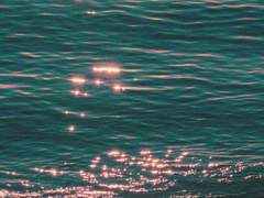 당신과는 천천히