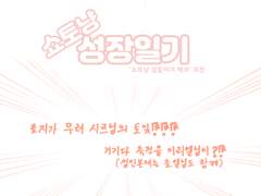 쇼토냥 성장일기 (선입금 및 샘플)