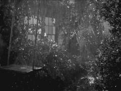 홀로 전하는 안부