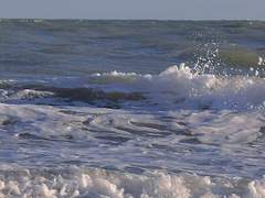 단문 우주의 나이