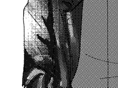 아무아카 ) 그러나 나는 그것마저 너다운 고별이라 생각했다.