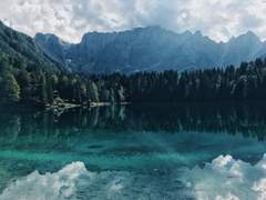 [마사니노] 玻璃色尾ひれ