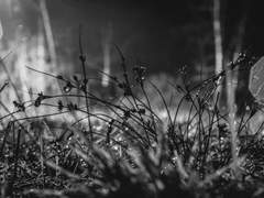 기다림. 뒷 이야기