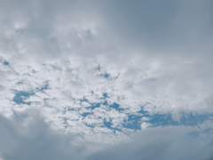 [하스엘리] 호수 속 그림자 (1)