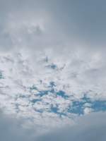 하스일라 / 하스엘리