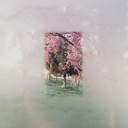 언더니스 : 꽃과 재