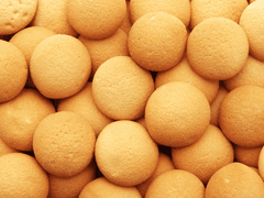 동화에 동화되다. 제1화_계란과자의 취향