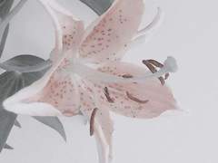 이기와 이타의 경계